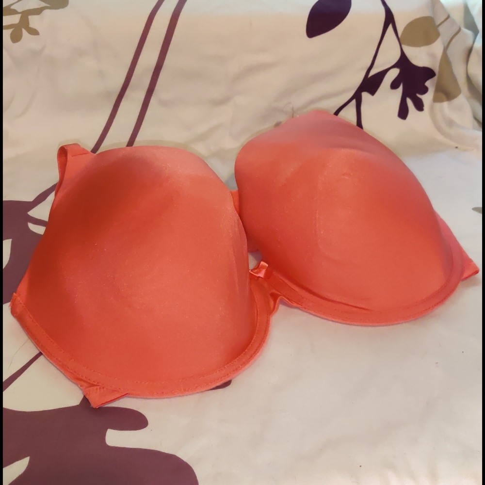 Secret Treasure💗 Bra NWT